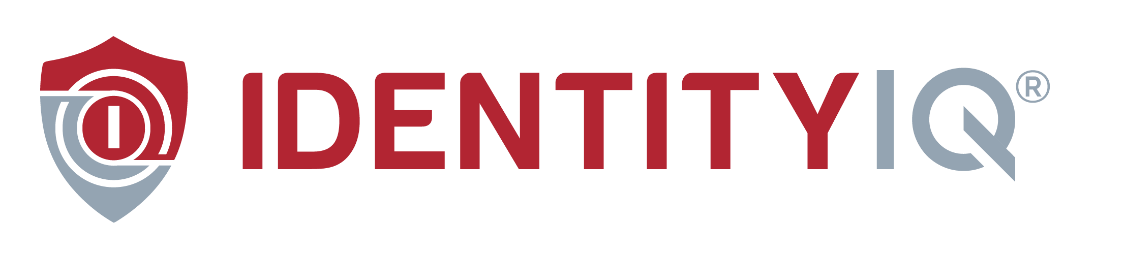 IdentityIQ logo.