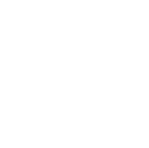 Stevie Award Logo for Bronze.
